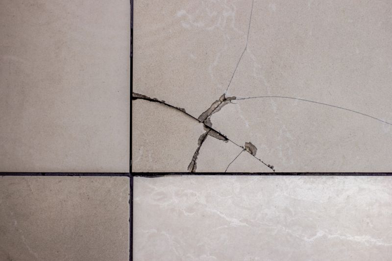 Local Tile Repair Experts